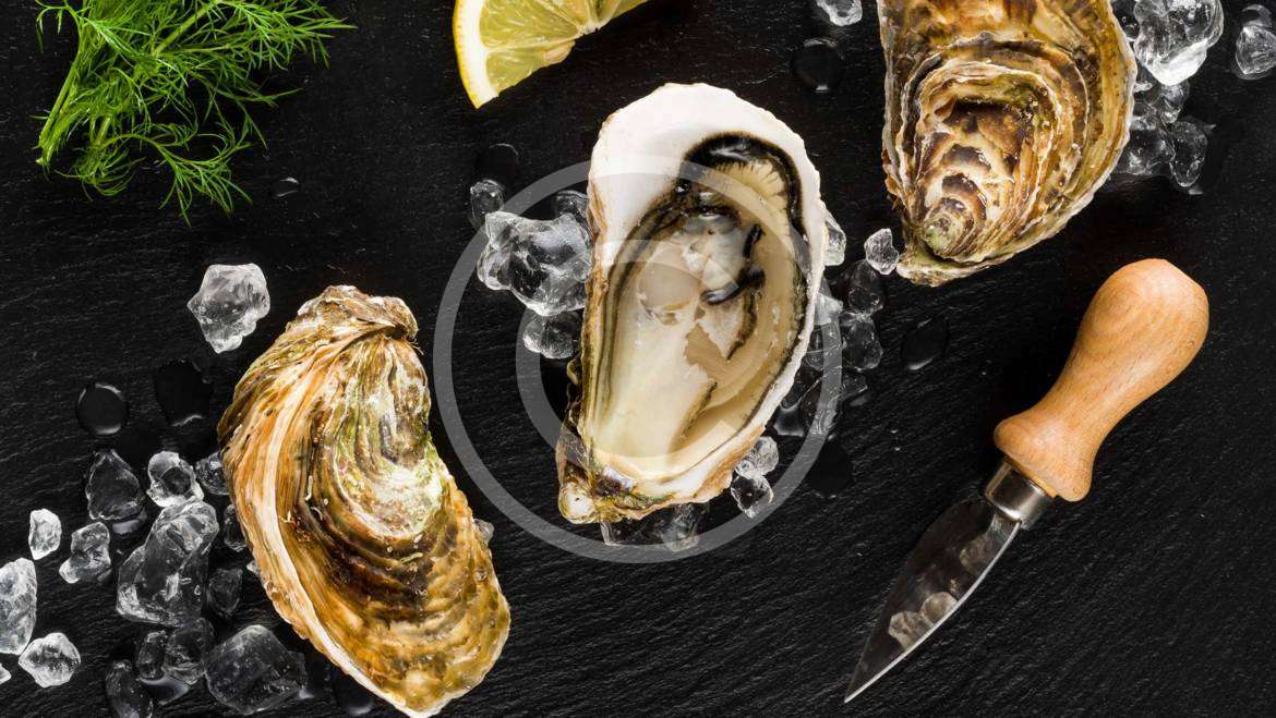 Sustainable Seafood and What you Can Do